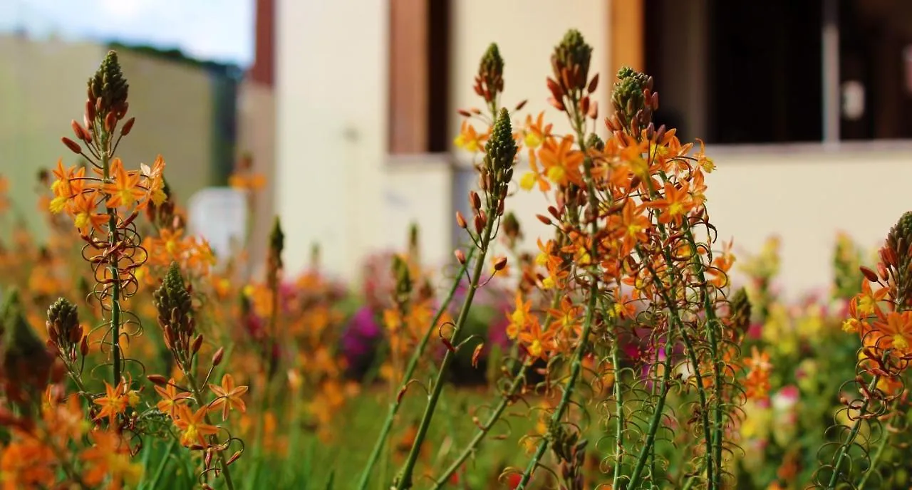 Pousada Grandchamp - Campos Do Jordao Hotel Estalagem